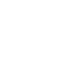 政務系統
